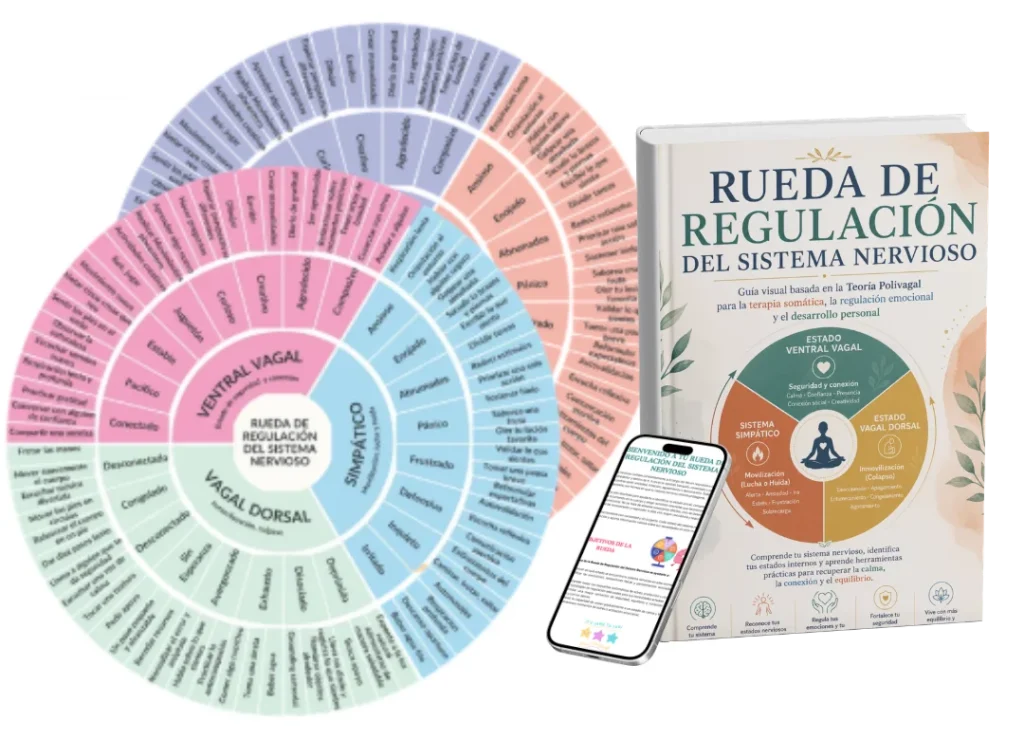 Rueda de Regulación del Sistema Nervioso